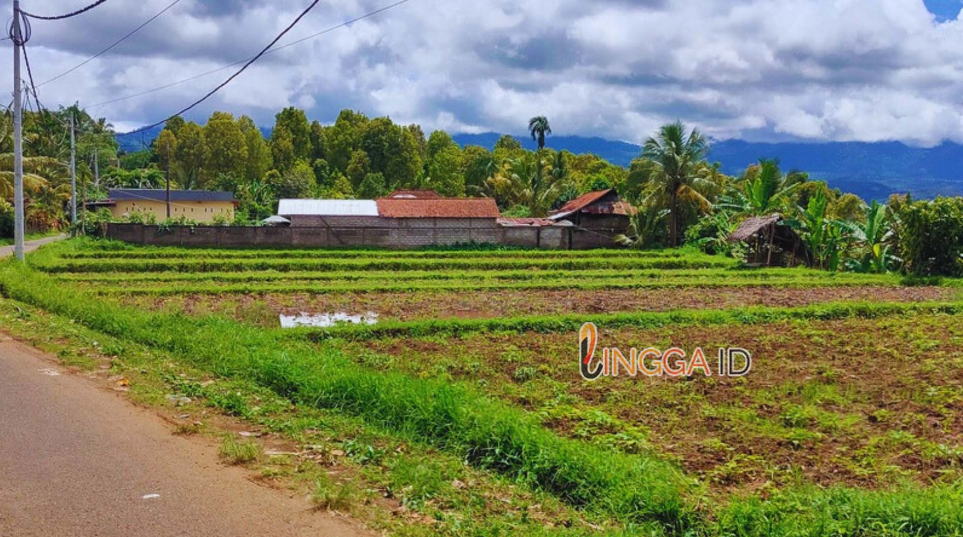 Biaya dan Syarat Balik Nama Tanah Warisan dari Orang Tua